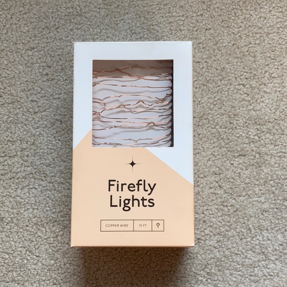 Urban Outfitters Other - Urban Outfitters Firefly Lights